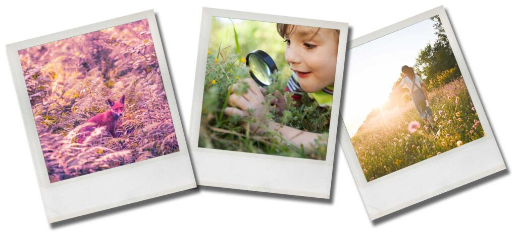 Polaroïds d'un renard, d'un enfant observant la nature à la loupe et d'une femme marchant dans un champ.